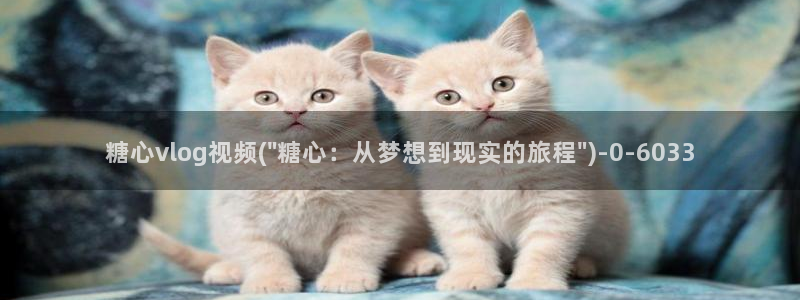 糖心vlog入口进入