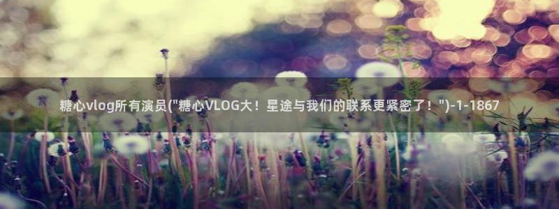 糖心vlog苹果版本