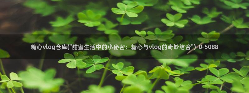 糖心vlog网址大全