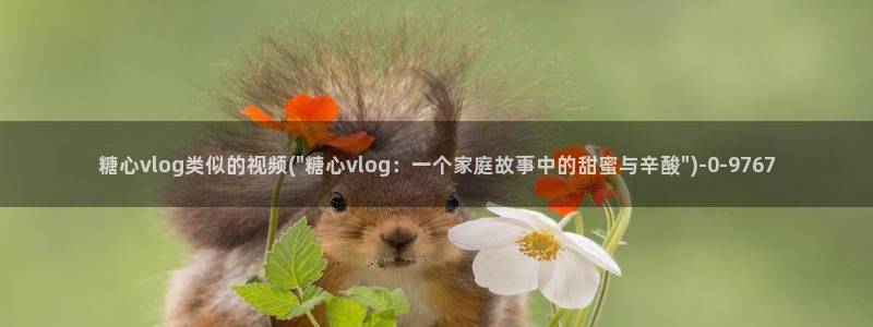 糖心vlog可爱兔资源