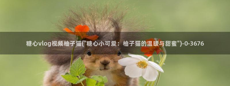 糖心vlog无法充值