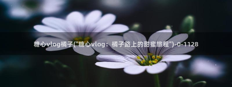 糖心vlog花季传媒：糖心vlog橘子(\