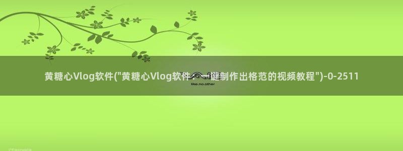 糖心vlog开车视频