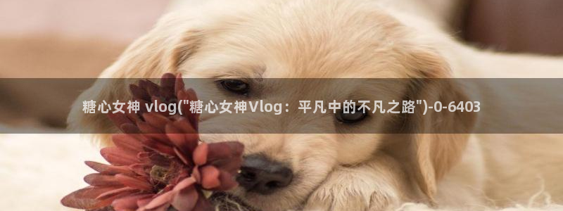 糖心vlog黄下载