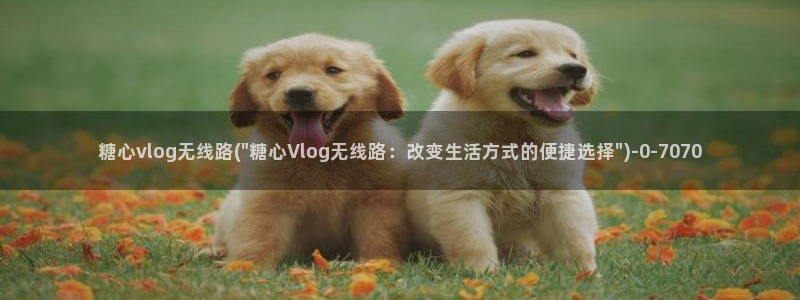 糖心vlog 糖心传媒