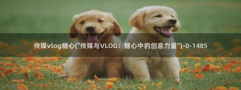 在线糖心vlog