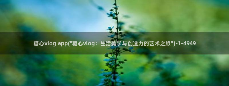 糖心vlog摄影师：糖心vlog app(\