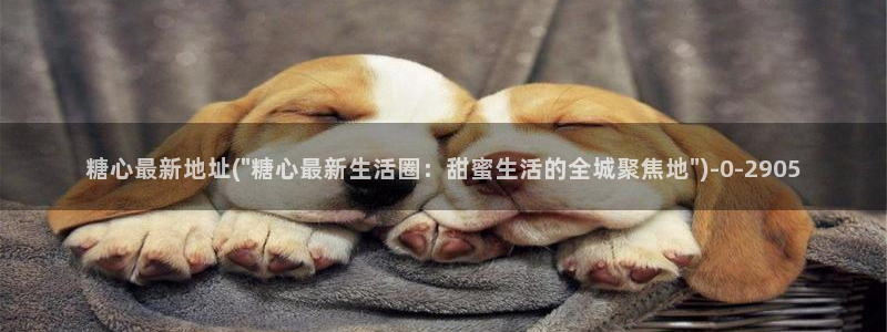 糖心小恩vlog：糖心最新地址(\