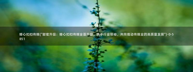 糖心vlog产精国品：糖心扣扣传媒(\