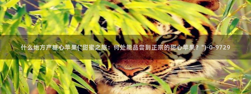 糖心vlog免费eye：什么地方产糖心苹果(\