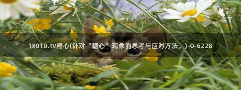 唐糖心vlog：tx010.tv糖心(针对“糖心