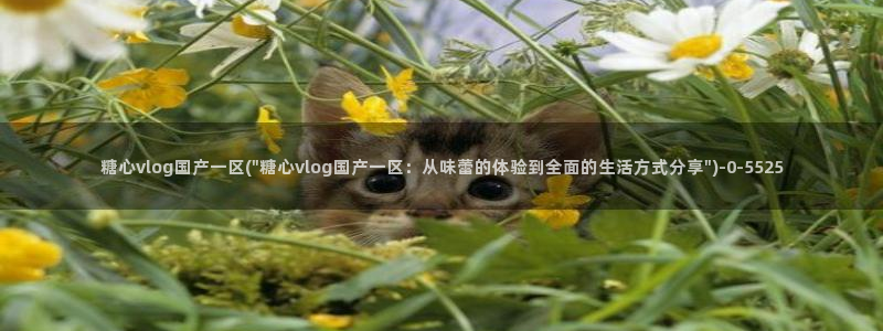 糖心柚子猫vlog：糖心vlog国产一区(\