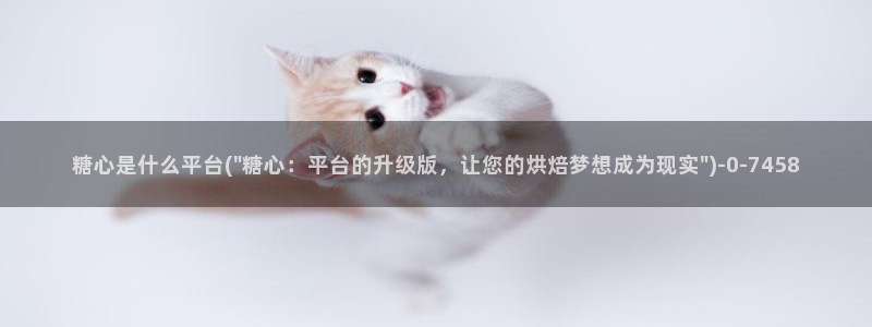 糖心vlog管网