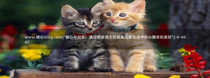 糖心vlog小桃内射：www.糖心vlog.co