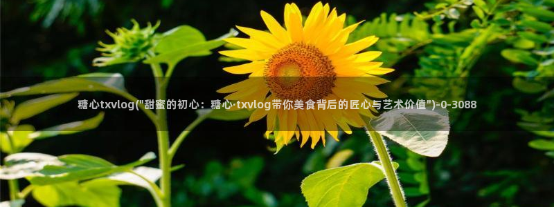 糖果心vlog免费版怎么下载