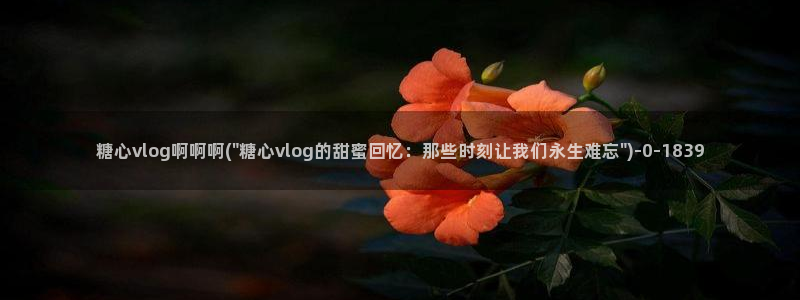 糖心vlog9.1：糖心vlog啊啊啊(\