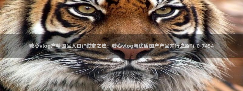 糖心vlog 官网